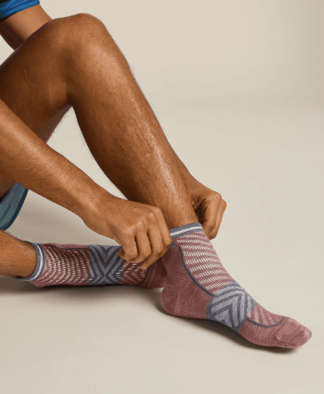 Men's Merino Blend Run+ Ultralight Mini Socks Carob/graphite