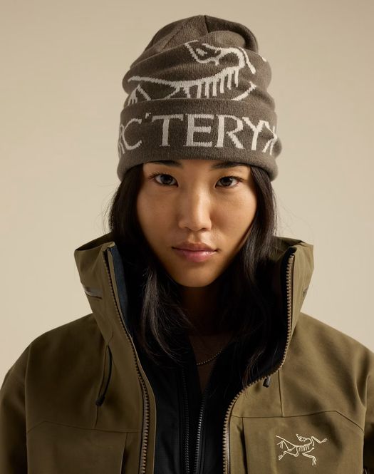 Main Image Arc'teryx Bird Word Toque ...