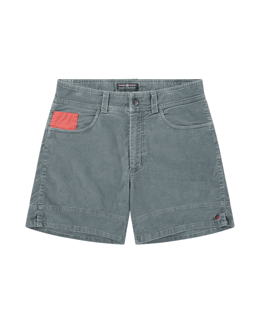 Main Image 6Incher Wild Velvet Shorts ...