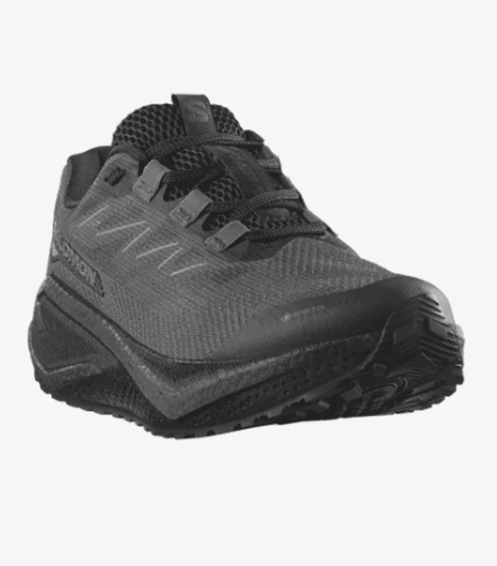 Salomon AERO BLAZE 3 GRVL W GTX Black / Asphalt / Black