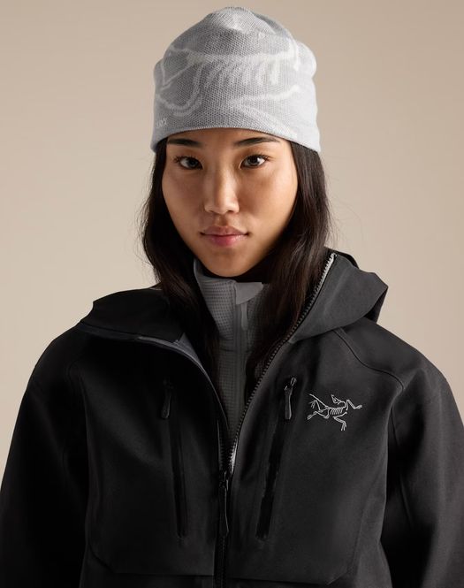 Main Image Arc'teryx Bird Head Toque ...